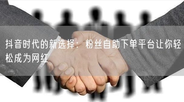 抖音时代的新选择：粉丝自助下单平台让你轻