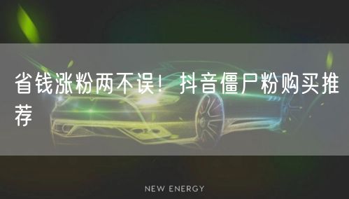 省钱涨粉两不误！抖音僵尸粉购买推荐