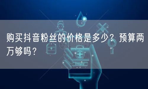 购买抖音粉丝的价格是多少?预算两万够吗?