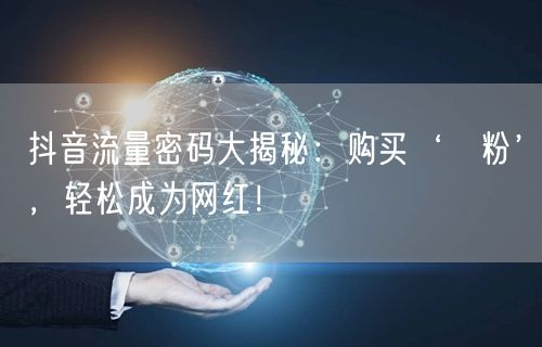 抖音流量密码大揭秘：购买‘黒粉’，轻松成为网红！