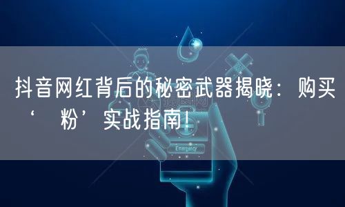 抖音网红背后的秘密武器揭晓：购买‘黒粉’实战指南！