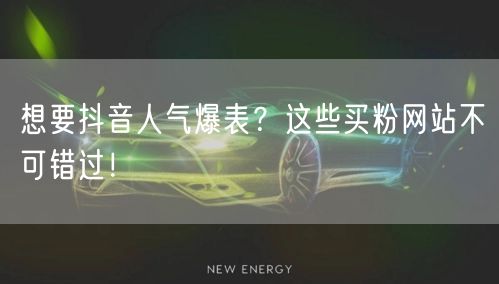 想要抖音人气爆表？这些买粉网站不可错过！