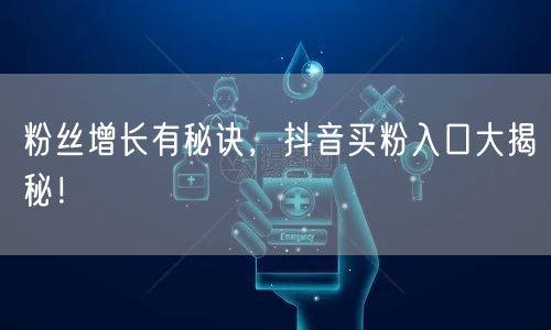 粉丝增长有秘诀,抖音买粉入口大揭秘!