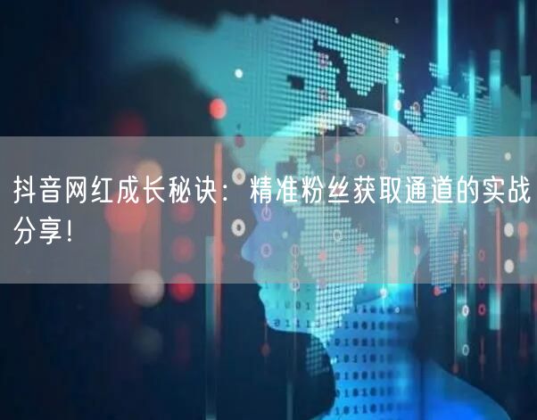 抖音网红成长秘诀:精准粉丝获取通道的实战分享!