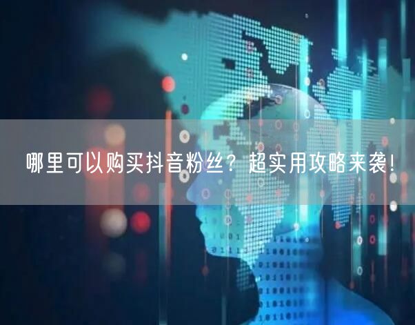 哪里可以购买抖音粉丝？超实用攻略来袭！