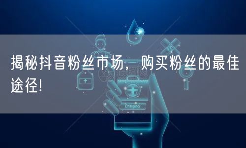 揭秘抖音粉丝市场，购买粉丝的最佳途径!