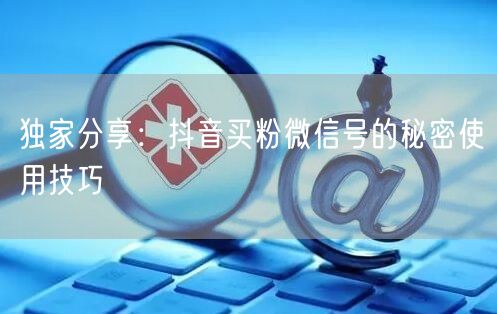 独家分享：抖音买粉微信号的秘密使用技巧