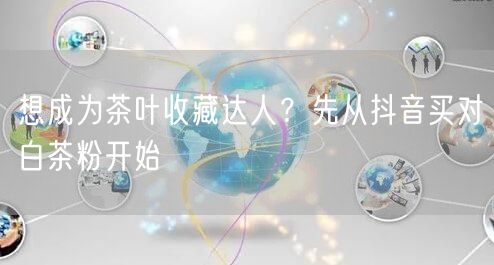 想成为茶叶收藏达人？先从抖音买对白茶粉开